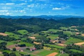 省委一號(hào)文件專家談|張占倉(cāng)：10個(gè)方面45條具體任務(wù)，2023年河南全面推進(jìn)鄉(xiāng)村振興重點(diǎn)工作明確