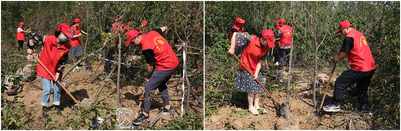 植樹活動(dòng)現(xiàn)場(chǎng).jpg